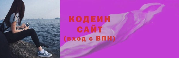 СК Покачи