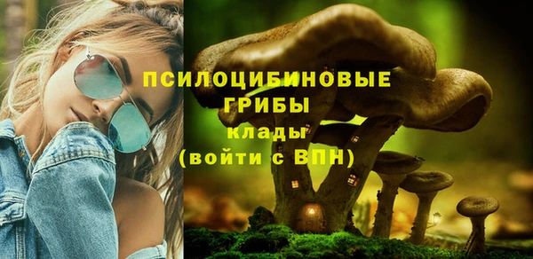 mdpv Алексин