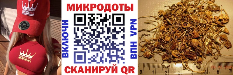 Галлюциногенные грибы GOLDEN TEACHER  где купить наркоту  Кашира 